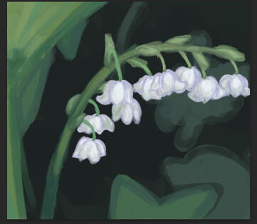 'Lily of the Valley'